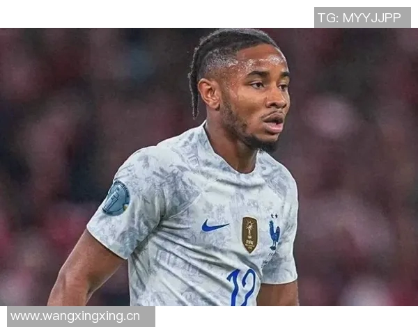 法国与冰岛战平恩昆库精彩内切射门锁定平局