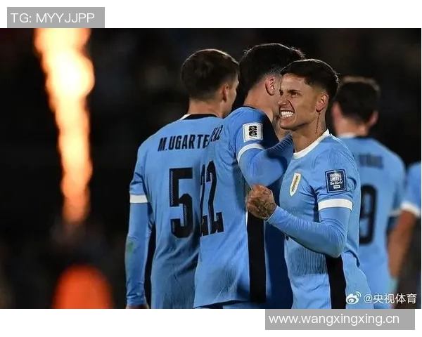 南美十队中六队晋级世界杯欧洲强队却面临完全不同的挑战 南美十队中六队晋级世界杯欧洲强队却面临完全不同的挑战