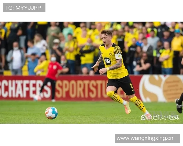 多特蒙德中场格罗斯即将以重返布莱顿为目标完成转会交易